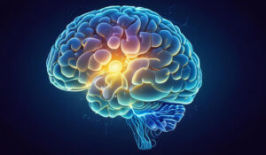 concussion therapy North Bay